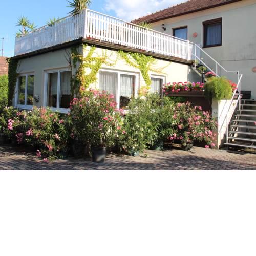 Weingut Pension Sommerhof
