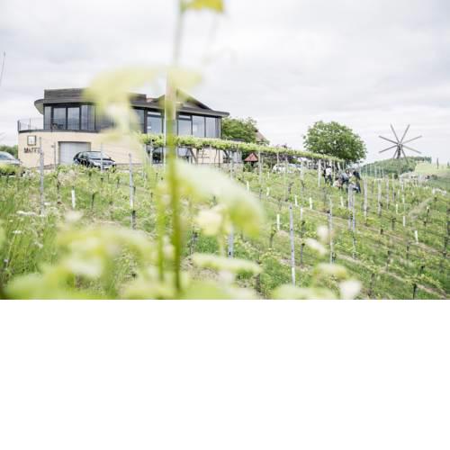 Weinhotel Maitz Wolfgang