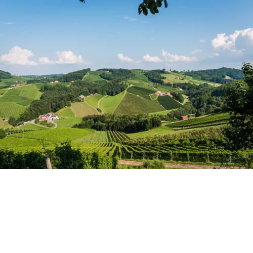 Weinschmiede Gamlitz - Weingut Tscherne-Strauss