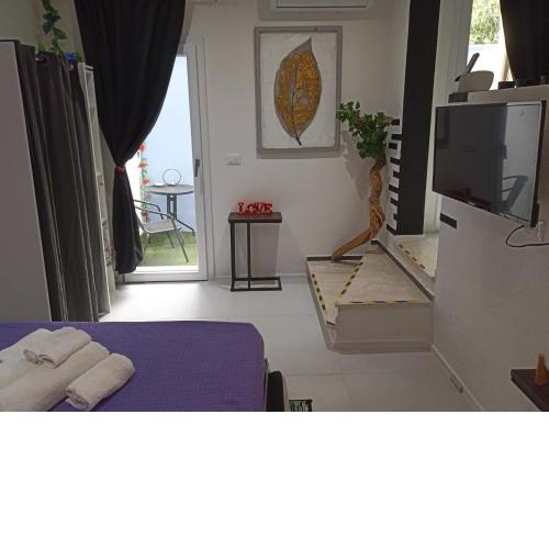 Welc-Home Studio, Monolocale