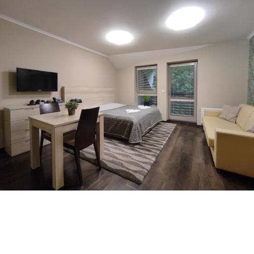 WELLNESS APARTMÁN RESIDENT HARRACHOV C206 Slunné Studio 1KK s kuchyní a balkonem