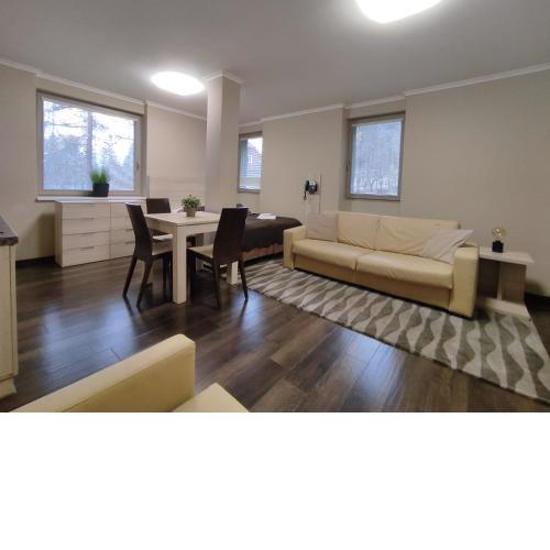 WELLNESS APARTMÁN RESIDENT HARRACHOV C208, 1KK s kuchyní, balkonem, uvítacím balíčkem a multimediálním centrem, PlayStation 5, O2 TV, Netflix, Disney plus