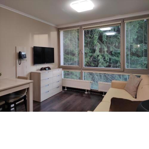 WELLNESS APARTMÁN RESIDENT HARRACHOV C306 Apartmán 2KK s kuchyní, balkonem a výhledem do lesa