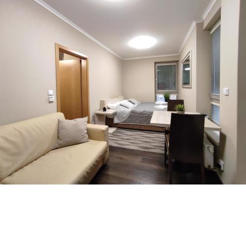 WELLNESS APARTMÁN RESIDENT HARRACHOV (C307) Pokoj 1+KK s velkým balkonem a kuchyňským koutem