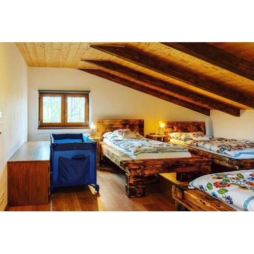 Wellness chaty Žirovnice