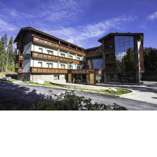 Wellness Hotel Borovica