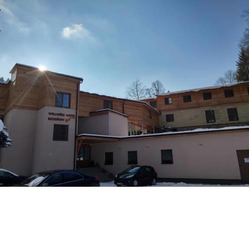 Wellness Hotel Bozeňov