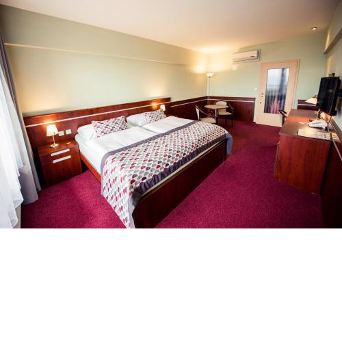 Wellness Hotel Panorama