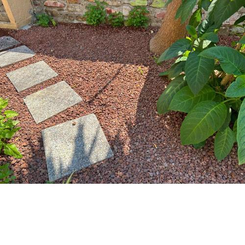 WH - Bilocale Lamarmora con giardino