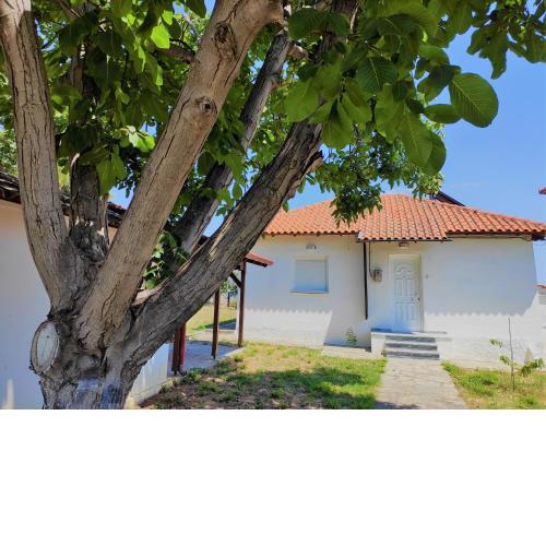 White Clam Vintage House with sea view & garden