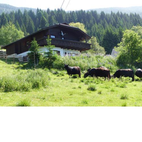 Wildhaberhütte