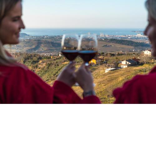 Wine Glamping Dežela Refoška
