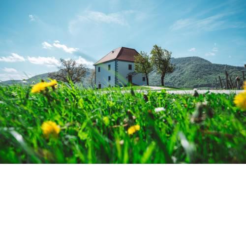 Wine Grower's Mansion Zlati Gric