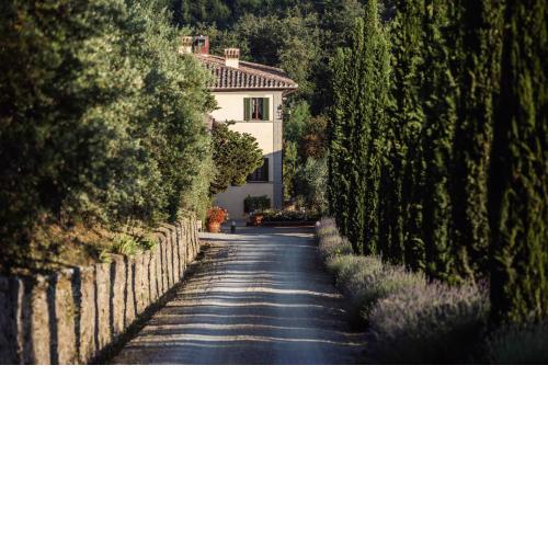 Wine Resort Dievole