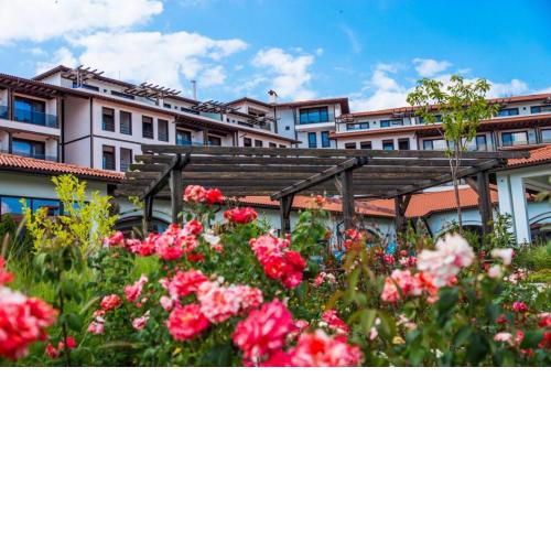 Wine & Spa Complex Starosel