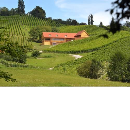 Wine & Tourisam Valdhuber Apartments