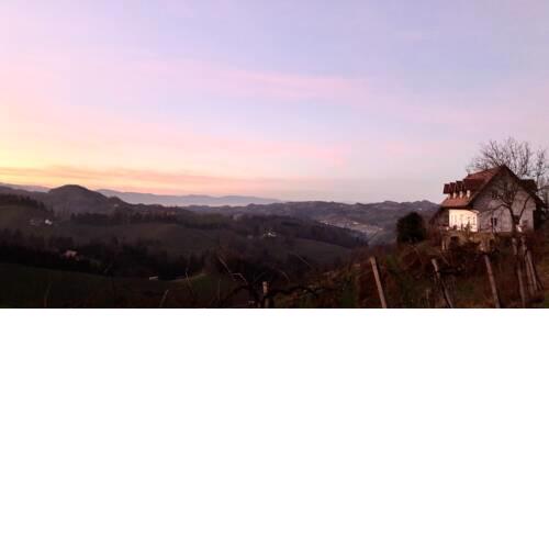 WineHouseLiving