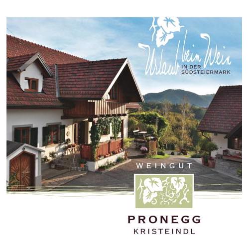 Winzerzimmer Pronegg vlg. Kristeindl