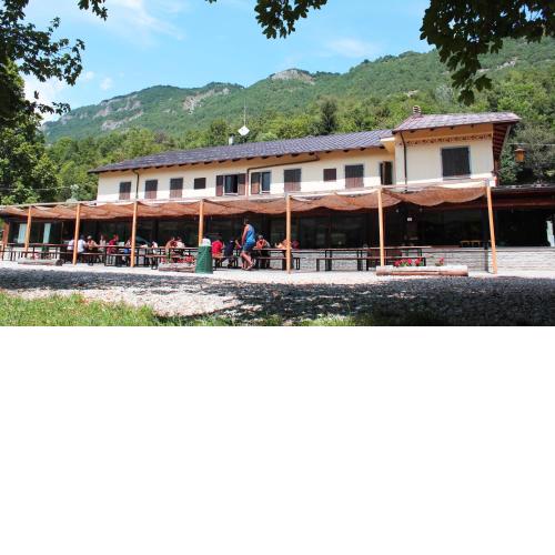 Wolf Village