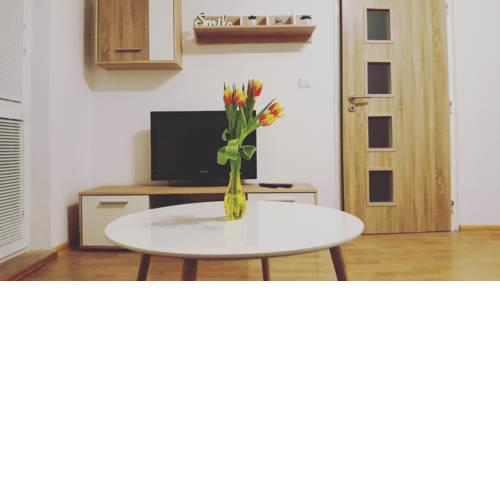 Wonderful apartment in city center