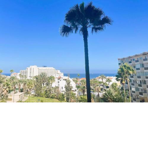 WONDERFUL HOLIDAYS, a Few Meters from the Sea