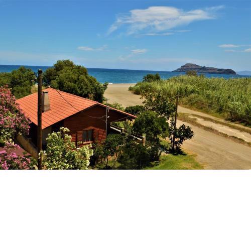 Wooden Beach House