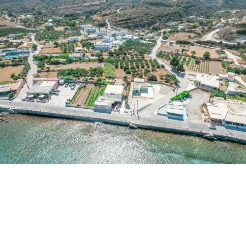 Xenias Studio