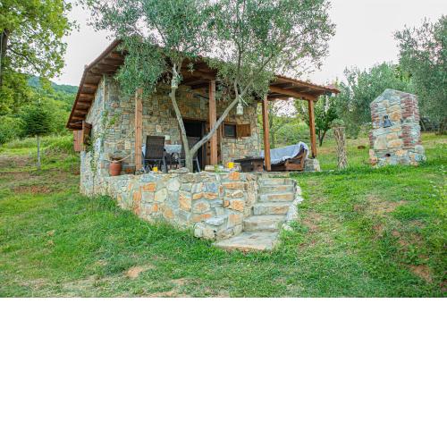 Xenonas Home