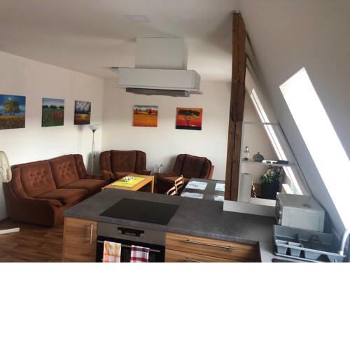 XXL Louny