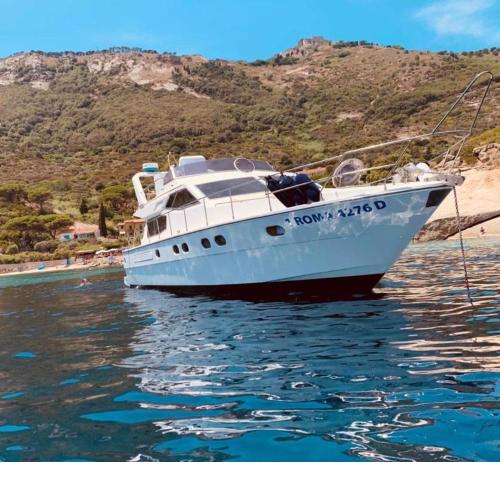 Yacht Fert 1