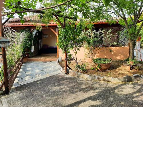 Your Home in Argalasti