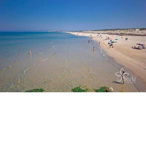 Your home in Ragusa