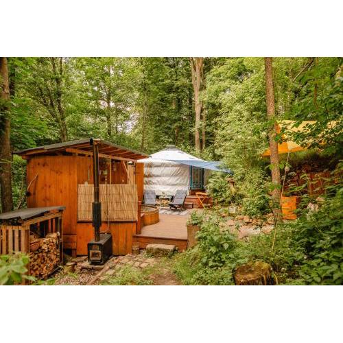 Yurt in the Wood