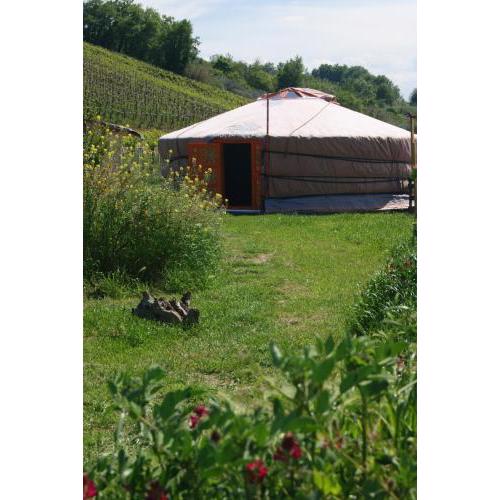 Yurta Cloe
