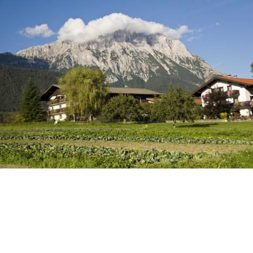 Zauscherhof