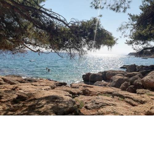 Zavala view luxe apartment-private path to sea