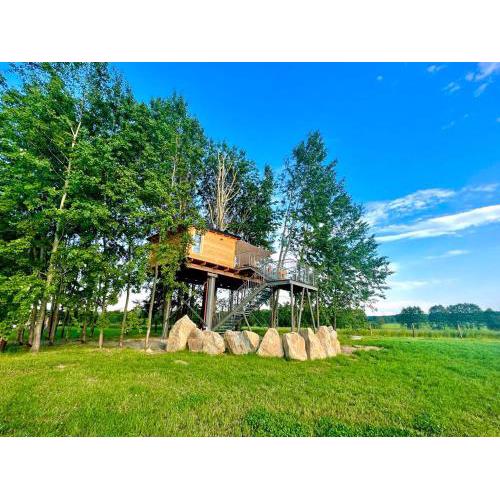 Zelený ostroff Treehouse