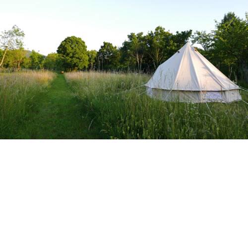 ZELIŠČNI GLAMPING NA KRAŠKI DOMAČIJI 1839