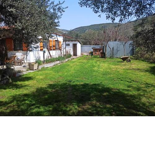 Zephyr Guest House