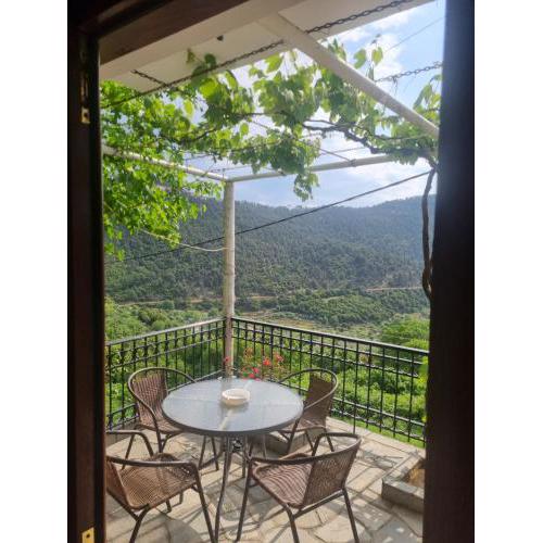 Zeus Apartman