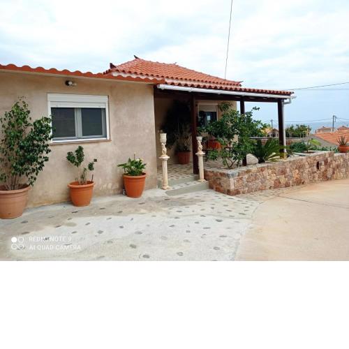 zikos house