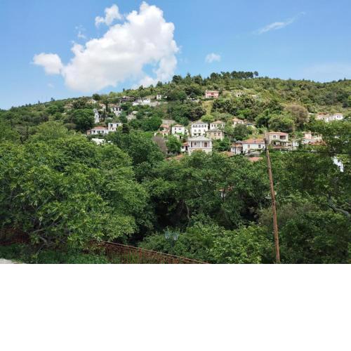 Zina's Cottage in Afetes