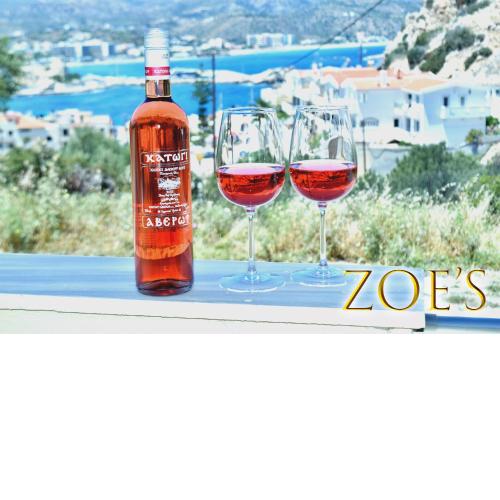 Zoe's House w/ Panoramic View 2BR AC 5min walk DT