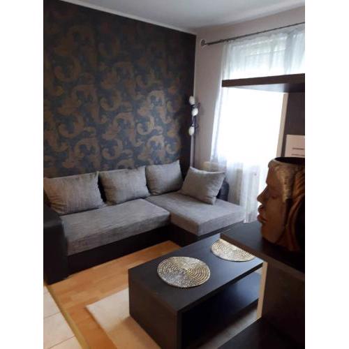 Zöld Béka Kölcsey I. Apartman