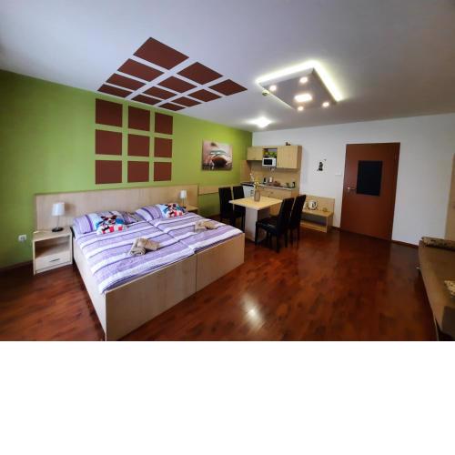 Zöld Béka Sport utcai Apartman I.