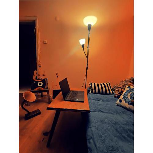 ZULA HOUSE