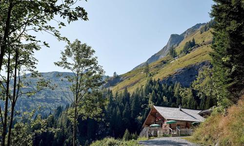 Alpská pohoda v horskej chate Mooslehenalm by Grossarler Hof (1 449 m n. m.) s raňajkami a welcome drinkom