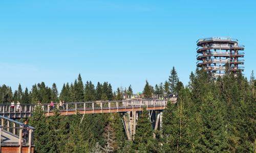 Belianske Tatry pri Chodníku korunami stromov v Penzióne Šilon s polpenziou + zľavy do wellness a aquaparkov