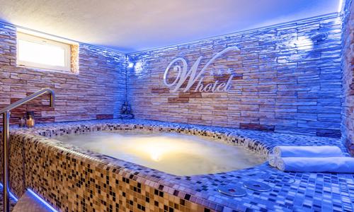 Bratislava pri Devínskom hrade: W Hotel *** s raňajkami + privátny vstup do wellness (bazén, sauna, vírivka)