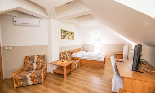 Južná Morava: Hotel Allvet *** v bývalom letohrádku s bufetovými raňajkami, privátnym wellness a vínom